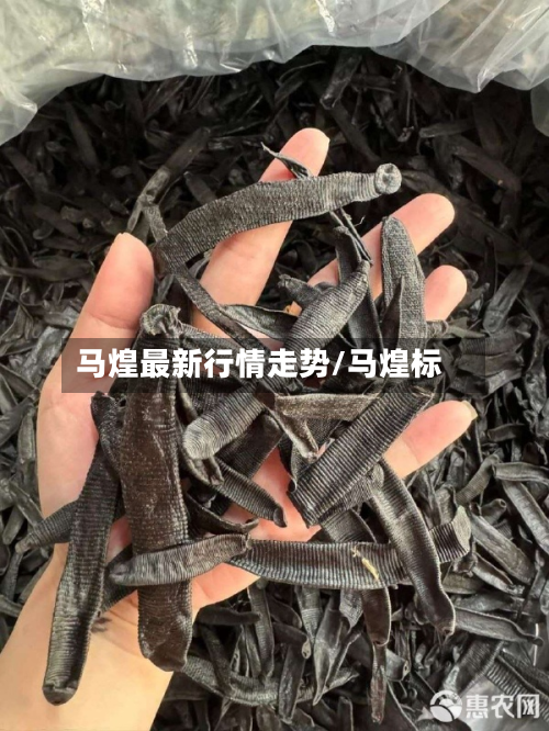 马煌最新行情走势/马煌标