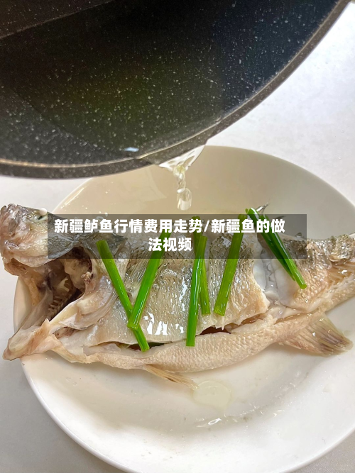 新疆鲈鱼行情费用走势/新疆鱼的做法视频