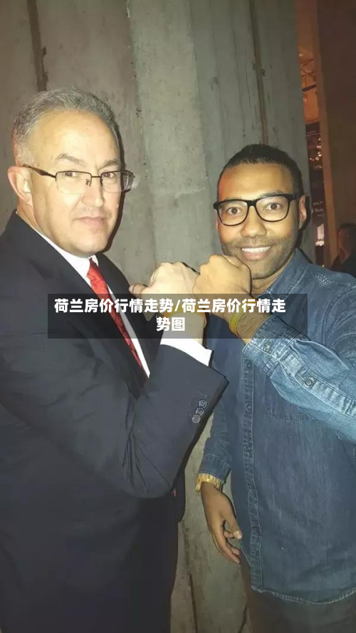 荷兰房价行情走势/荷兰房价行情走势图-第2张图片