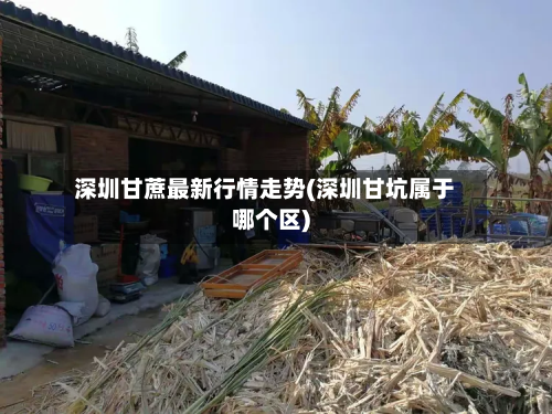 深圳甘蔗最新行情走势(深圳甘坑属于哪个区)