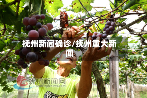 抚州新闻确诊/抚州重大新闻-第2张图片