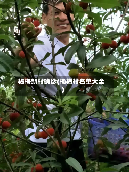 杨梅新村确诊(杨梅村名单大全)-第3张图片