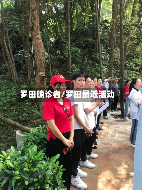 罗田确诊者/罗田最近活动