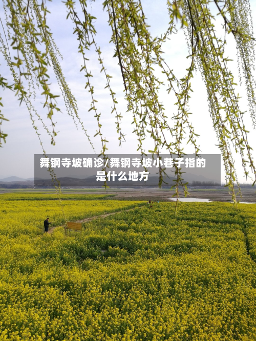 舞钢寺坡确诊/舞钢寺坡小巷子指的是什么地方-第3张图片