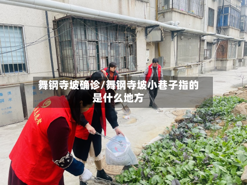 舞钢寺坡确诊/舞钢寺坡小巷子指的是什么地方