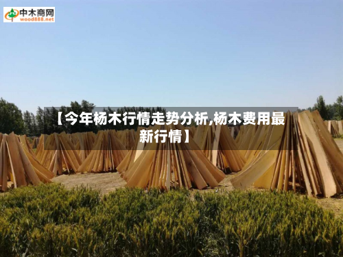【今年杨木行情走势分析,杨木费用最新行情】-第2张图片