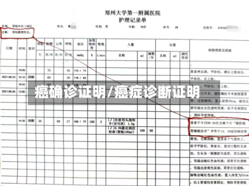 癌确诊证明/癌症诊断证明-第3张图片