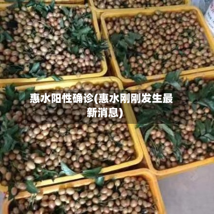 惠水阳性确诊(惠水刚刚发生最新消息)