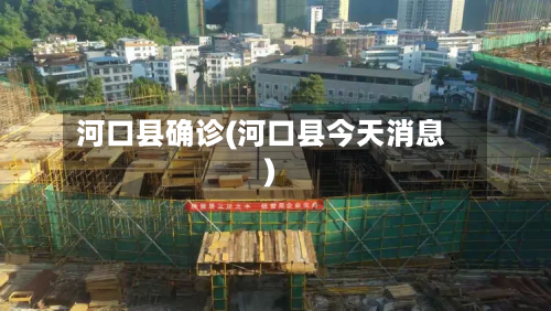 河口县确诊(河口县今天消息)-第3张图片