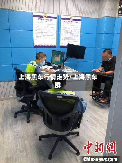 上海黑车行情走势/上海黑车群
