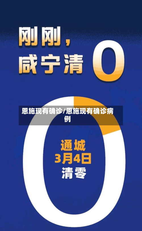 恩施现有确诊/恩施现有确诊病例