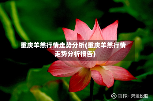 重庆羊羔行情走势分析(重庆羊羔行情走势分析报告)-第2张图片