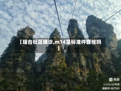 【瑶台社区确诊,m14是标准件螺栓吗】