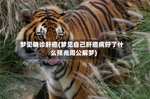 梦见确诊肝癌(梦见自己肝癌病好了什么预兆周公解梦)-第1张图片