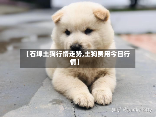 【石埠土狗行情走势,土狗费用今日行情】