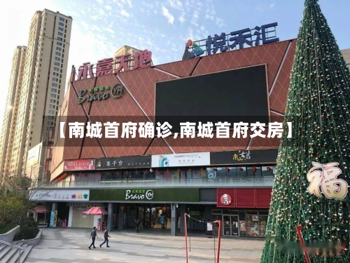 【南城首府确诊,南城首府交房】-第2张图片