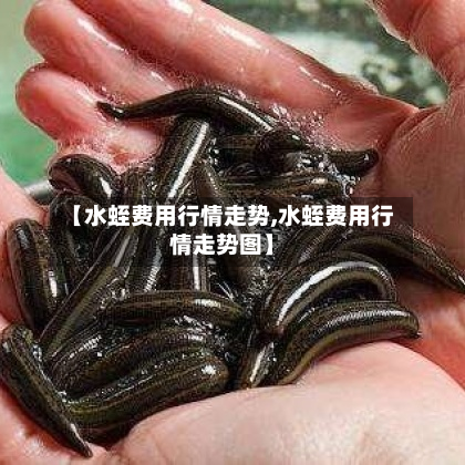 【水蛭费用行情走势,水蛭费用行情走势图】