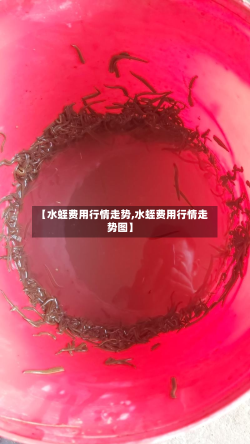 【水蛭费用行情走势,水蛭费用行情走势图】-第2张图片