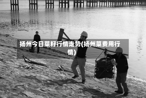 扬州今日菜籽行情走势(扬州菜费用行情)