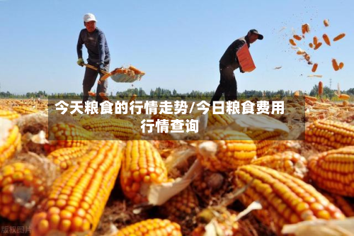 今天粮食的行情走势/今日粮食费用行情查询-第3张图片