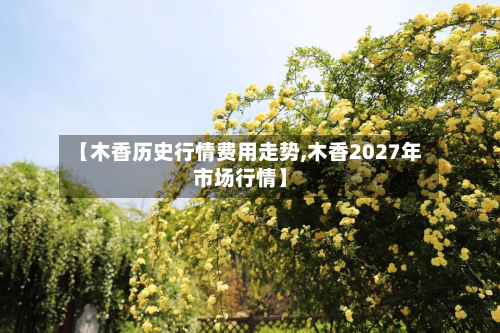【木香历史行情费用走势,木香2027年市场行情】