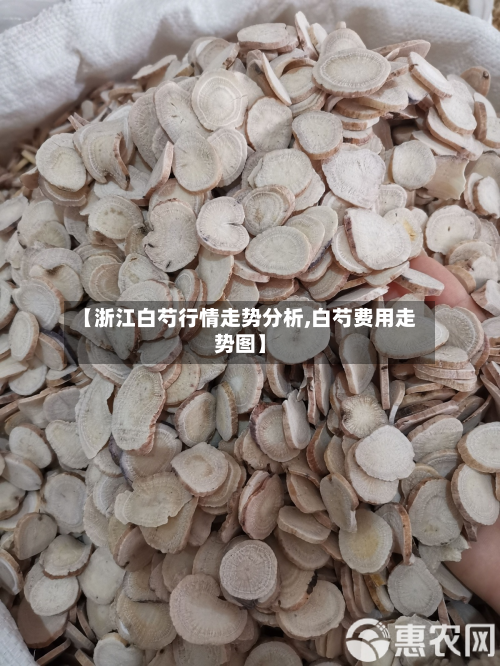 【浙江白芍行情走势分析,白芍费用走势图】