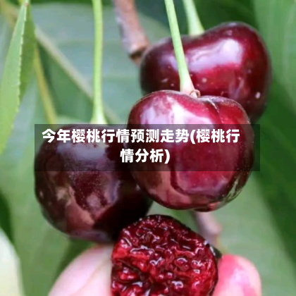 今年樱桃行情预测走势(樱桃行情分析)