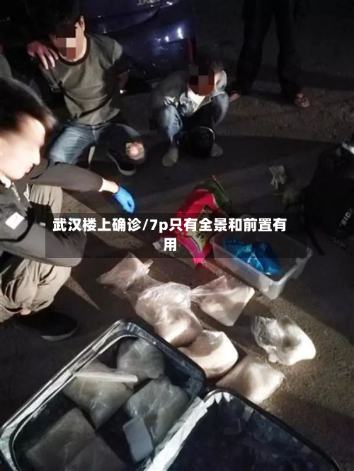 武汉楼上确诊/7p只有全景和前置有用-第3张图片