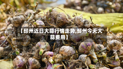 【邳州近日大蒜行情走势,邳州今天大蒜费用】