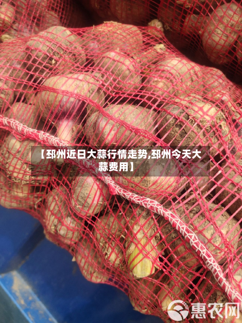 【邳州近日大蒜行情走势,邳州今天大蒜费用】-第3张图片