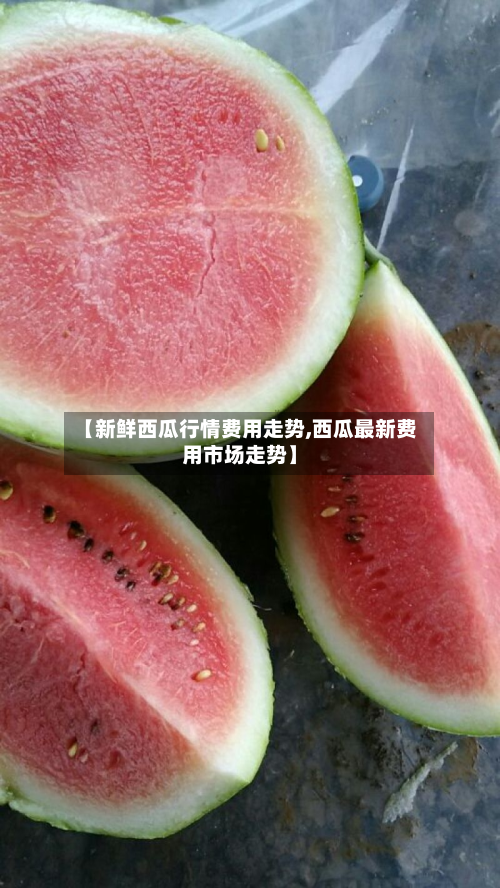 【新鲜西瓜行情费用走势,西瓜最新费用市场走势】