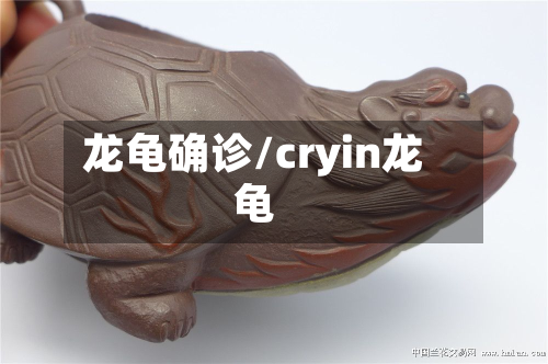 龙龟确诊/cryin龙龟