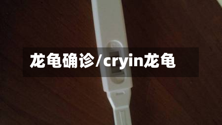 龙龟确诊/cryin龙龟-第2张图片