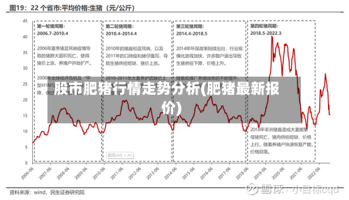 股市肥猪行情走势分析(肥猪最新报价)-第3张图片