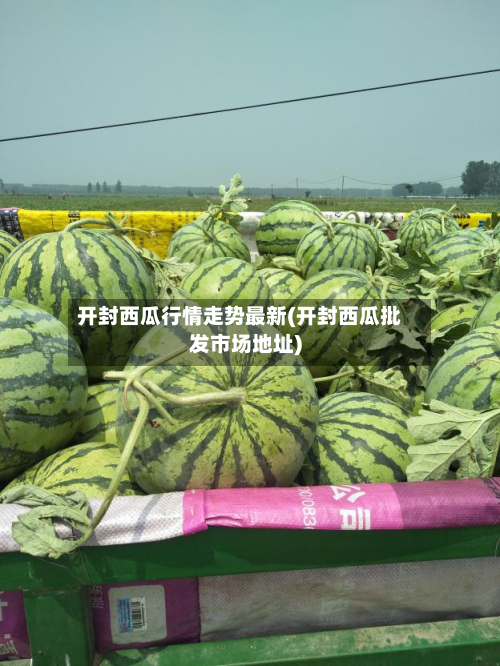开封西瓜行情走势最新(开封西瓜批发市场地址)