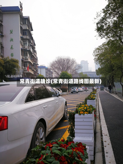 常青街道确诊(常青街道路线图最新)-第2张图片