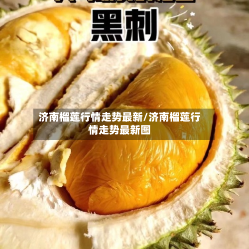 济南榴莲行情走势最新/济南榴莲行情走势最新图-第3张图片