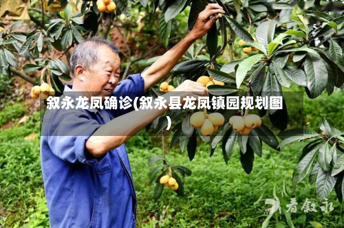 叙永龙凤确诊(叙永县龙凤镇园规划图)