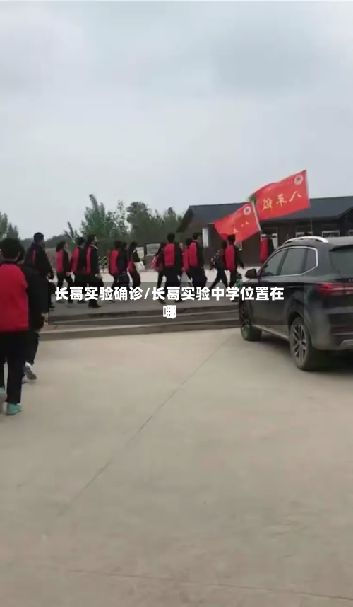 长葛实验确诊/长葛实验中学位置在哪-第3张图片