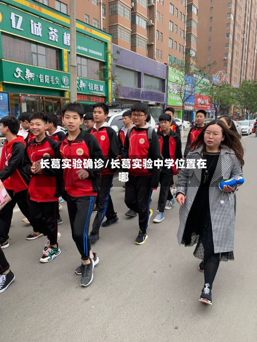 长葛实验确诊/长葛实验中学位置在哪-第2张图片