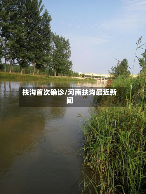 扶沟首次确诊/河南扶沟最近新闻