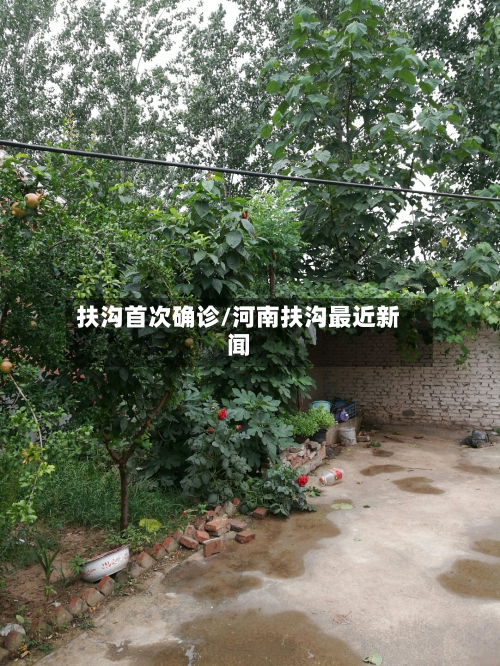 扶沟首次确诊/河南扶沟最近新闻-第3张图片