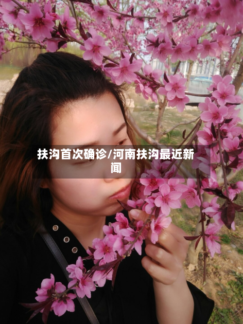 扶沟首次确诊/河南扶沟最近新闻-第2张图片