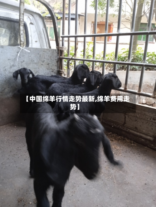 【中国绵羊行情走势最新,绵羊费用走势】
