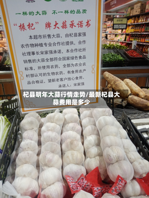 杞县明年大蒜行情走势/最新杞县大蒜费用是多少