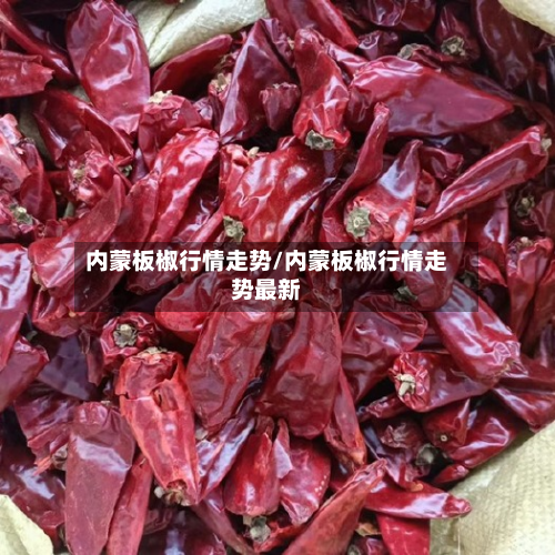 内蒙板椒行情走势/内蒙板椒行情走势最新-第2张图片