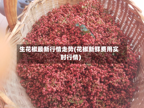 生花椒最新行情走势(花椒新鲜费用实时行情)