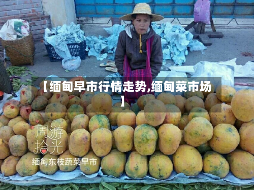 【缅甸早市行情走势,缅甸菜市场】
