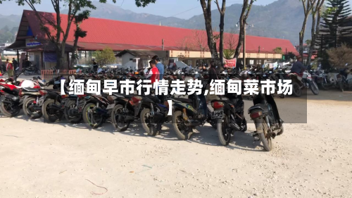 【缅甸早市行情走势,缅甸菜市场】-第2张图片