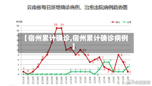 【宿州累计确诊,宿州累计确诊病例】